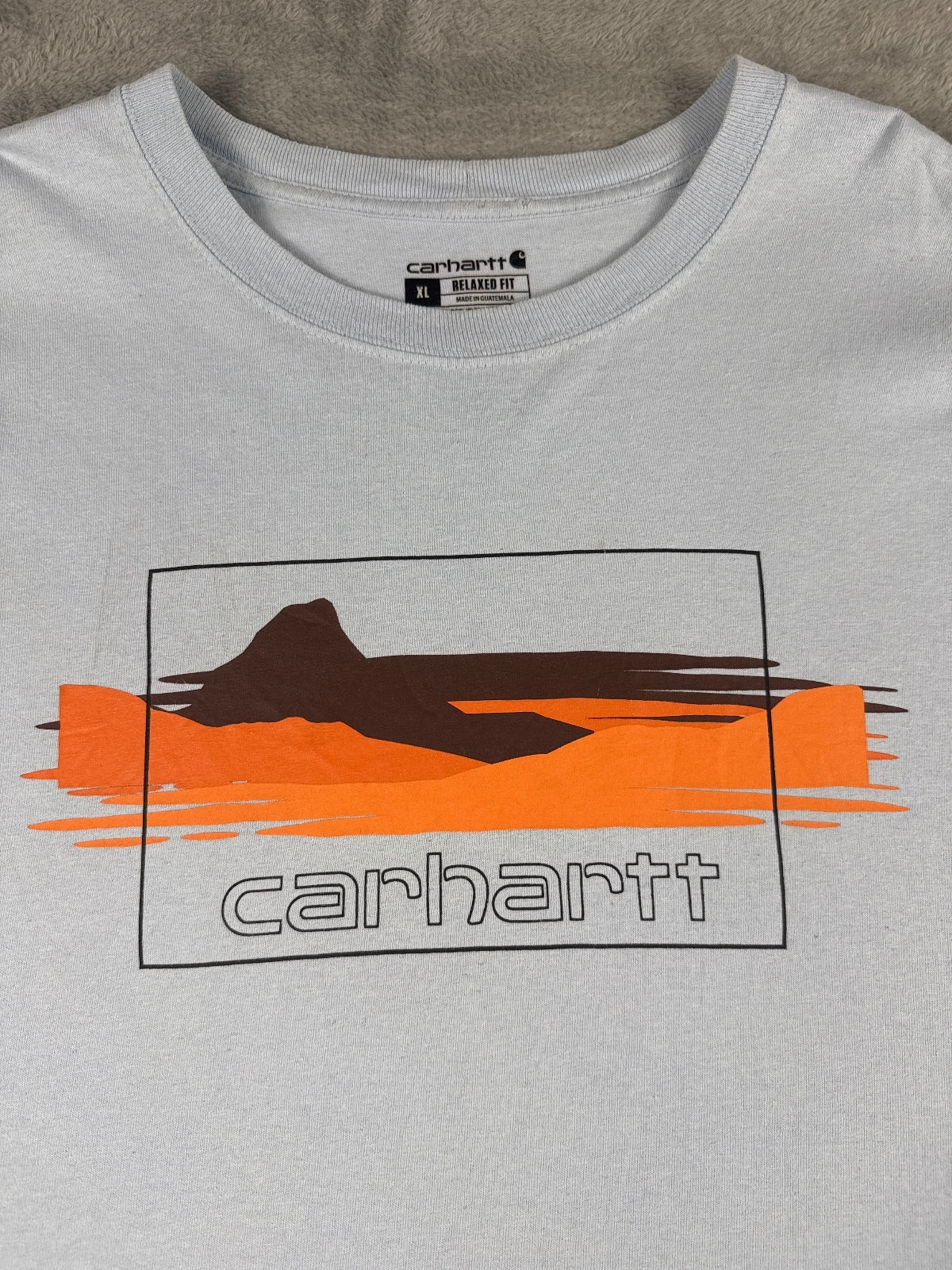 Carhartt Relaxed Fit Graphic T-Shirt in Light Blue Size XL