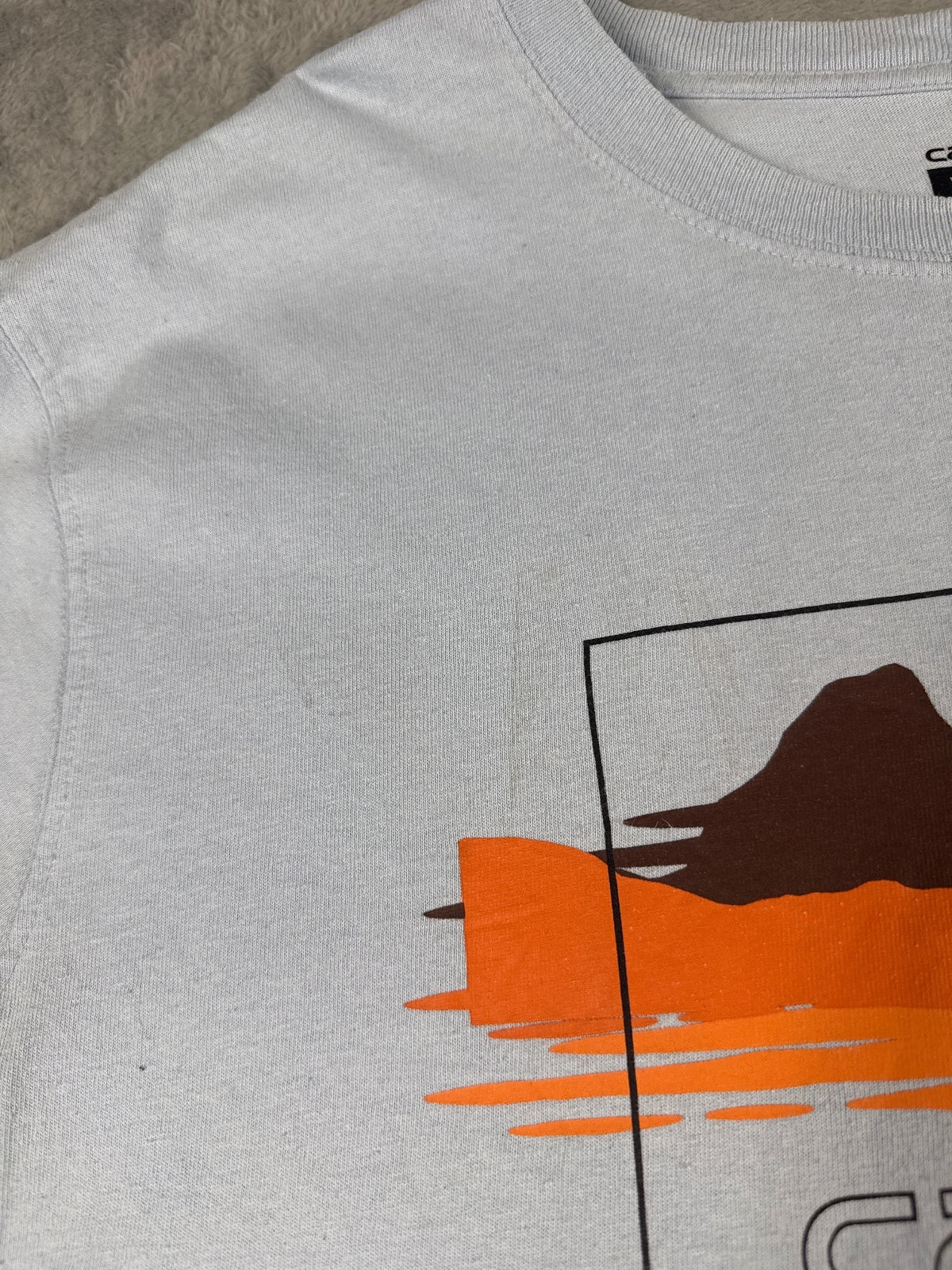Carhartt Relaxed Fit Graphic T-Shirt in Light Blue Size XL